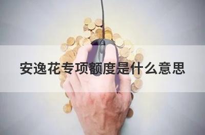 安逸花专项额度是什么意思