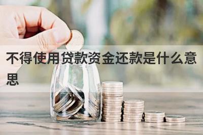 不得使用贷款资金还款是什么意思 