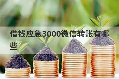 借钱应急3000微信转账有哪些?2022微信借款马上到账的口子