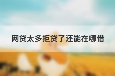 网贷太多拒贷了还能在哪借?盘点5个网贷太多被拒也能贷款的网贷口子