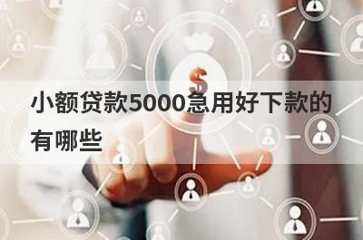 小额贷款5000急用好下款的有哪些?盘点借5000直接秒下款的平台
