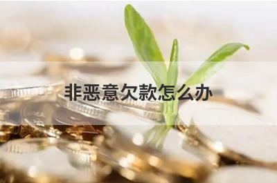 非恶意欠款怎么办?