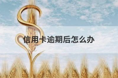 信用卡逾期后怎么办?了解一下这几种正确处理方式