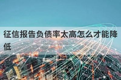 征信报告负债率太高怎么才能降
低
