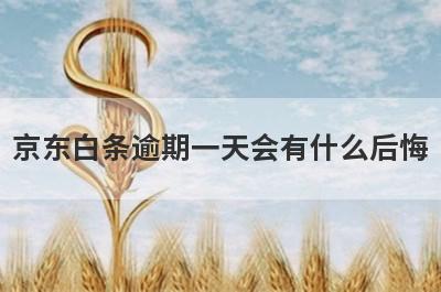 京东白条逾期一天会有什么后悔?