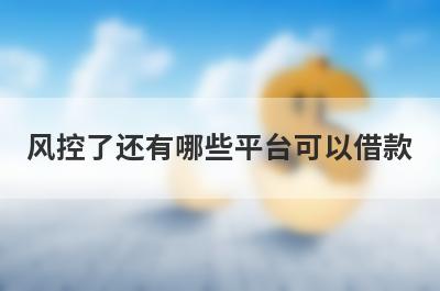 风控了还有哪些平台可以借款?