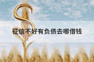征信不好有负债去哪借钱?盘点2022不看征信负债的网贷口子