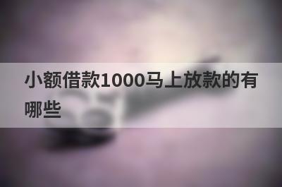 小额借款1000马上放款的有哪些?可以贷款1000急用的平台