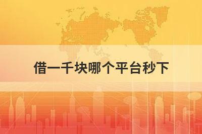 借一千块哪个平台秒下?精选5个借1000块钱的贷款平台