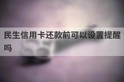民生信用卡还款前可以设置提醒吗?