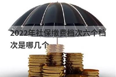 2022年社保缴费档次六个档
次是哪几个
