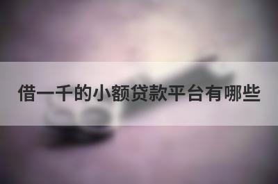 借一千的小额贷款平台有哪些?盘点5个借1000元马上到账的