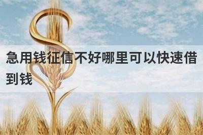 急用钱征信不好哪里可以快速借到钱?5个不看征信也能借钱的贷款平台