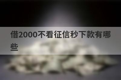 借2000不看征信秒下款有哪些？独家盘点征信很花也能稳下款的口子