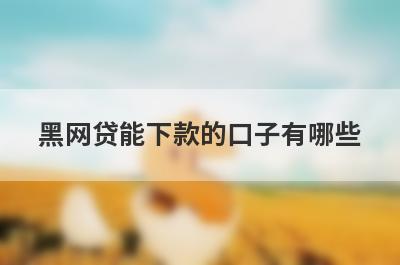 黑网贷能下款的口子有哪些？逾期黑名单也能贷款的平台