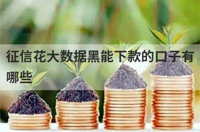 征信花大数据黑能下款的口子有哪些？整理5个不上征信好下款的小贷
