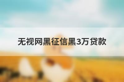 无视网黑征信黑3万贷款 贷款无视黑白户容易贷款的口子