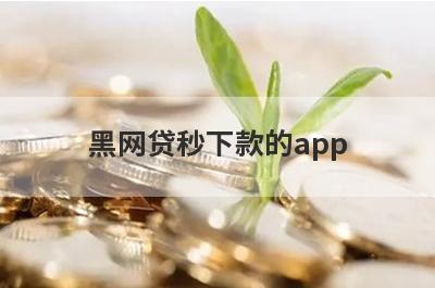 黑网贷秒下款的app(征信黑了能下款的口子)