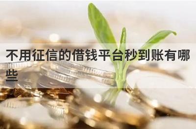 不用征信的借钱平台秒到账有哪些？整理5个网上借钱不需要审核秒到账的