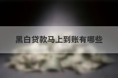 黑白贷款马上到账有哪些？整理5个无视黑白户可以借款的口子