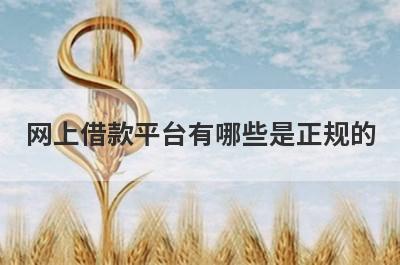 网上借款平台有哪些是正规的?2022年5大靠谱的正规平台
