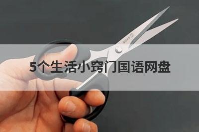 5个生活小窍门国语网盘