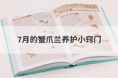 7月的蟹爪兰养护小窍门