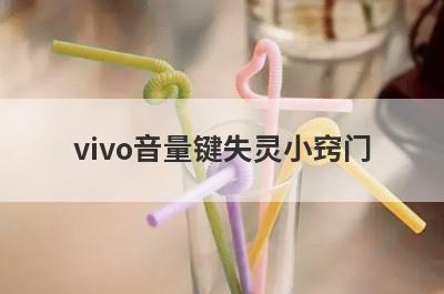 vivo音量键失灵小窍门
