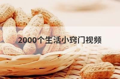 2000个生活小窍门视频
