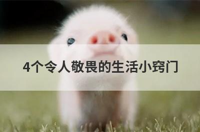 4个令人敬畏的生活小窍门(生活中哪些事情是令人敬畏的)