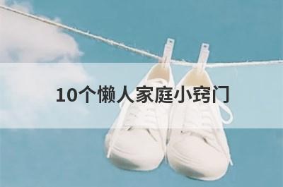 10个懒人家庭小窍门(懒人收拾家务小窍门)