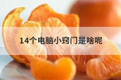 14个电脑小窍门是啥呢