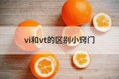 vi和vt的区别小窍门