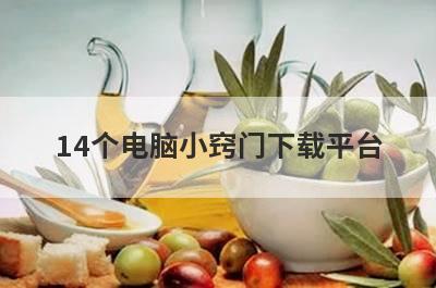 14个电脑小窍门下载平台