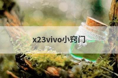 x23vivo小窍门