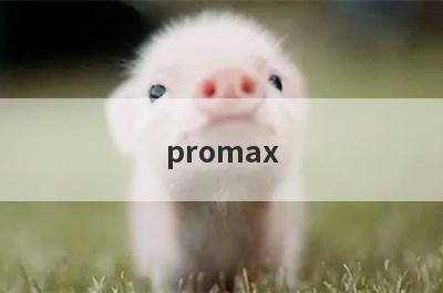 promax