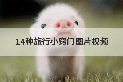 14种旅行小窍门图片视频
