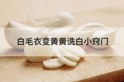 白毛衣变黄黄洗白小窍门