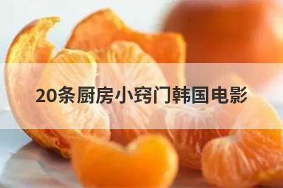 20条厨房小窍门韩国电影