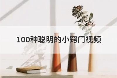 100种聪明的小窍门视频