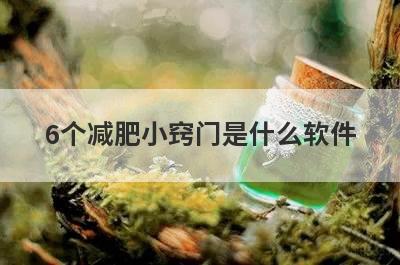 6个减肥小窍门是什么软件