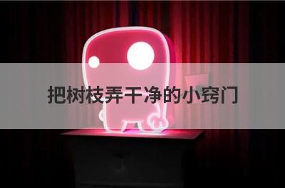 把树枝弄干净的小窍门(笔脏了怎么弄干净生活小窍门)