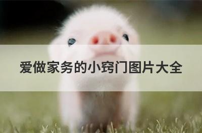 爱做家务的小窍门图片大全