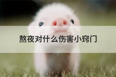 熬夜对什么伤害小窍门