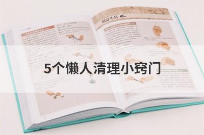 5个懒人清理小窍门