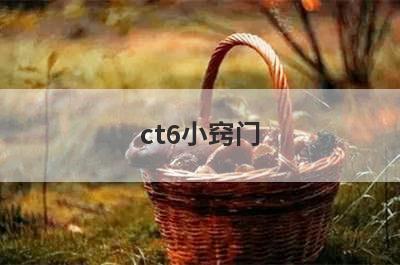 ct6小窍门