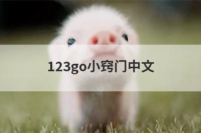123go小窍门中文(123go. 中文什么意思)