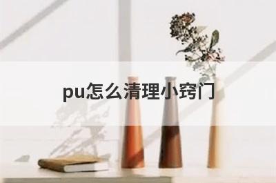 pu怎么清理小窍门