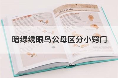 暗绿绣眼鸟公母区分小窍门