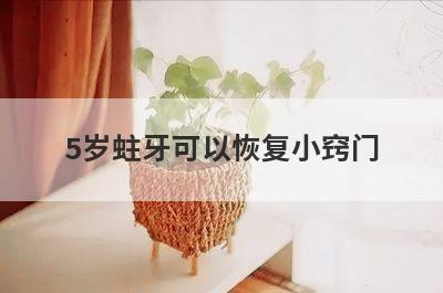 5岁蛀牙可以恢复小窍门